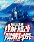 全能领主我能修改隐藏词条txt