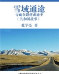 青藏铁路沿途雪山