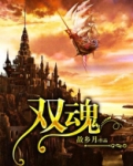 双魂剧情解析