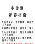 小金蛋护养指南