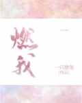 燃我讲的是什么
