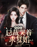 离婚后总裁哭着求复婚