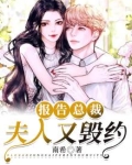 报告总裁，夫人又毁约