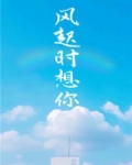风起时想你小说免费阅读