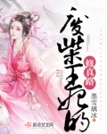 小说废柴王妃