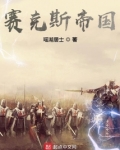 赛克斯帝国解说