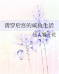清穿后宫的咸鱼生活全文免费阅读