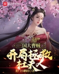 三国大曹贼,开局拯救杜夫人免费阅读小说