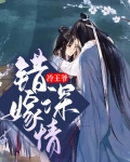 错嫁冷暴王爷免费阅读