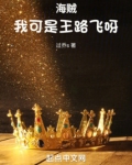 海贼：我可是王路飞呀