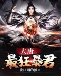 大唐至尊龙帝免费阅读