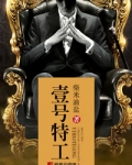 小说一号特工