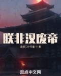朕非汉废帝起点