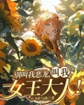 红龙女王三部曲