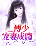 闪婚第一宠傅少的心尖宠