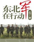 东北军作战