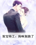 双宝特工:妈咪别跑了小说