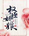 权臣娇娘讲什么故事