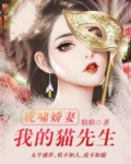 虎啸娇妻:我的猫先生小说