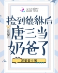 斗罗：捡到貔貅后唐三当奶爸了