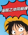 主角是七武海的小说