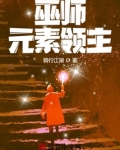 巫师元素领主百度百科