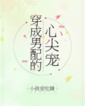 穿成男配的心尖宠百度云