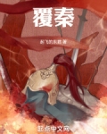 覆秦从计划开始