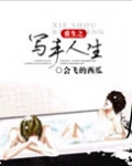 重生之写手人生