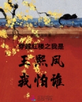 穿越红楼之我是王熙凤我怕谁小说