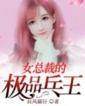 女总裁的极品兵王
