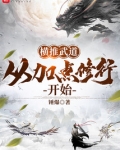 横推武道从属性加点开始