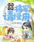 厨娘攻略:将军,请慢用免费