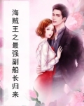 海贼王之最强副船长小说怎么样