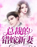 总裁的替嫁新妻 小说
