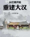 从红楼开始重建大汉