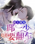 枕上强宠：邢二少隐婚要翻车
