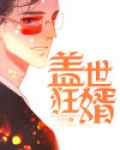 盖世狂婿