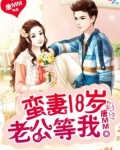 蛮妻18岁老公等我全文免费