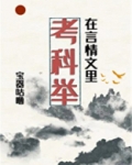 言情文里考科举TXT宝书网