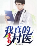 我真的只是个村医 小说