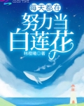 每天都在努力当白莲花 小说