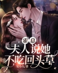 霍总夫人说你才是替身全集完整版
