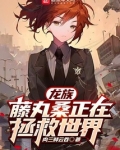 龙族:藤丸桑正在拯救世界下载
