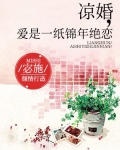 凉婚爱是一纸锦年绝恋