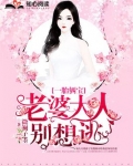 一胎俩宝,老婆大人别想逃 第4章
