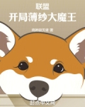 联盟：开局薄纱大魔王
