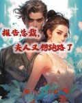 报告夫人,总裁又去打杂了