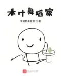 木叶舞蹈家免费阅读