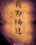 神雕之我为杨过